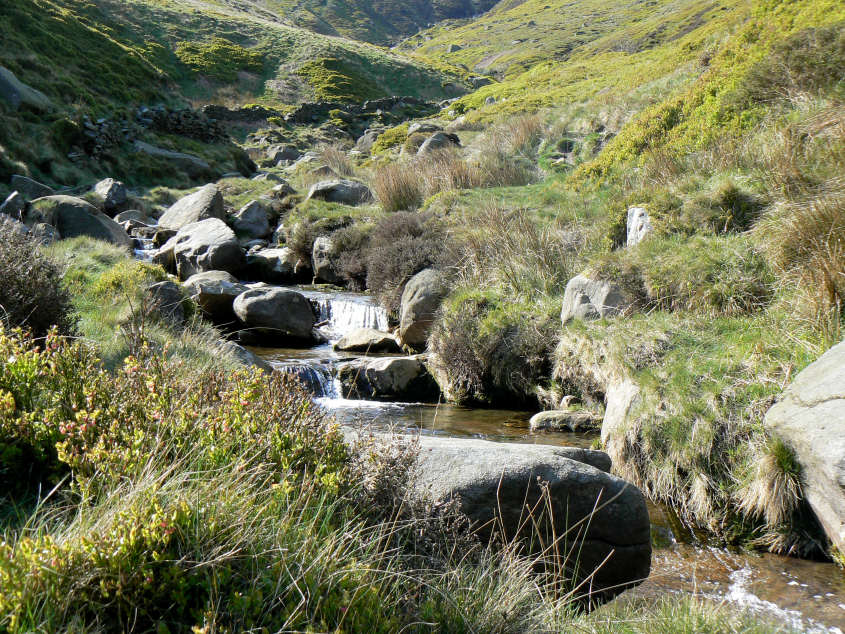 Crowden Brook Crowden Brook